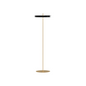 Asteria Floor Lamp
